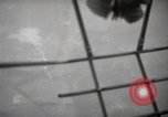 Image of hurricane hunting United States USA, 1955, second 59 stock footage video 65675022100