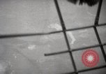 Image of hurricane hunting United States USA, 1955, second 61 stock footage video 65675022100