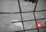 Image of hurricane hunting United States USA, 1955, second 62 stock footage video 65675022100