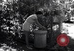 Image of hurricane hunting United States USA, 1955, second 51 stock footage video 65675022101