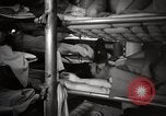 Image of USS Saufley Atlantic Ocean, 1952, second 50 stock footage video 65675022104