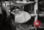 Image of USS Saufley Atlantic Ocean, 1952, second 58 stock footage video 65675022104