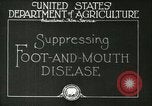 Image of foot and mouth disease United States USA, 1925, second 11 stock footage video 65675022110