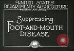 Image of foot and mouth disease United States USA, 1925, second 13 stock footage video 65675022110