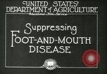 Image of foot and mouth disease United States USA, 1925, second 14 stock footage video 65675022110