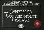 Image of foot and mouth disease United States USA, 1925, second 16 stock footage video 65675022110