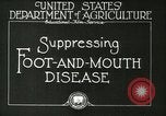 Image of foot and mouth disease United States USA, 1925, second 19 stock footage video 65675022110