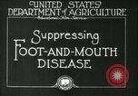 Image of foot and mouth disease United States USA, 1925, second 20 stock footage video 65675022110