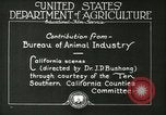 Image of foot and mouth disease United States USA, 1925, second 23 stock footage video 65675022110