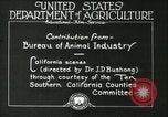 Image of foot and mouth disease United States USA, 1925, second 29 stock footage video 65675022110
