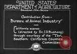 Image of foot and mouth disease United States USA, 1925, second 31 stock footage video 65675022110