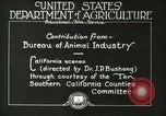 Image of foot and mouth disease United States USA, 1925, second 34 stock footage video 65675022110