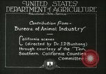 Image of foot and mouth disease United States USA, 1925, second 39 stock footage video 65675022110