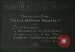 Image of foot and mouth disease United States USA, 1925, second 40 stock footage video 65675022110