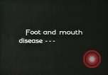 Image of foot and mouth disease United States USA, 1925, second 41 stock footage video 65675022110