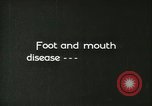 Image of foot and mouth disease United States USA, 1925, second 43 stock footage video 65675022110