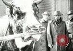 Image of foot and mouth disease United States USA, 1925, second 46 stock footage video 65675022110