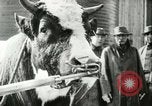Image of foot and mouth disease United States USA, 1925, second 50 stock footage video 65675022110