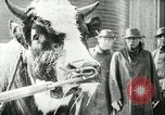 Image of foot and mouth disease United States USA, 1925, second 53 stock footage video 65675022110
