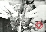 Image of foot and mouth disease United States USA, 1925, second 61 stock footage video 65675022110