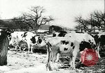 Image la fièvre aphteuse United States USA, 1925, de la seconde 37 séquences d'archives historiques vidéo 65675022111