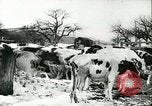 Image la fièvre aphteuse United States USA, 1925, de la seconde 38 séquences d'archives historiques vidéo 65675022111