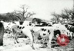 Image la fièvre aphteuse United States USA, 1925, de la seconde 39 séquences d'archives historiques vidéo 65675022111