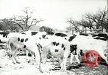 Image la fièvre aphteuse United States USA, 1925, de la seconde 40 séquences d'archives historiques vidéo 65675022111