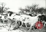 Image la fièvre aphteuse United States USA, 1925, de la seconde 44 séquences d'archives historiques vidéo 65675022111