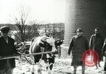 Image la fièvre aphteuse United States USA, 1925, de la seconde 55 séquences d'archives historiques vidéo 65675022111