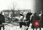 Image la fièvre aphteuse United States USA, 1925, de la seconde 58 séquences d'archives historiques vidéo 65675022111