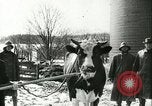 Image la fièvre aphteuse United States USA, 1925, de la seconde 60 séquences d'archives historiques vidéo 65675022111