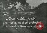 Immagine di Afta epizootica United States USA, 1925, secondo 1 filmato di repertorio 65675022112