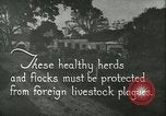 Immagine di Afta epizootica United States USA, 1925, secondo 4 filmato di repertorio 65675022112
