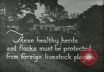 Immagine di Afta epizootica United States USA, 1925, secondo 5 filmato di repertorio 65675022112