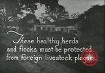 Immagine di Afta epizootica United States USA, 1925, secondo 6 filmato di repertorio 65675022112