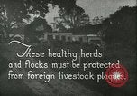Immagine di Afta epizootica United States USA, 1925, secondo 7 filmato di repertorio 65675022112