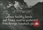 Immagine di Afta epizootica United States USA, 1925, secondo 8 filmato di repertorio 65675022112