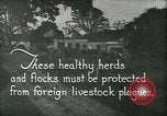 Immagine di Afta epizootica United States USA, 1925, secondo 9 filmato di repertorio 65675022112