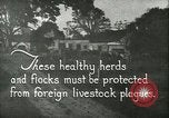 Immagine di Afta epizootica United States USA, 1925, secondo 10 filmato di repertorio 65675022112