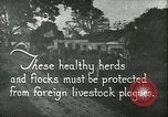 Immagine di Afta epizootica United States USA, 1925, secondo 11 filmato di repertorio 65675022112