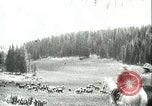 Immagine di Afta epizootica United States USA, 1925, secondo 14 filmato di repertorio 65675022112
