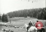 Immagine di Afta epizootica United States USA, 1925, secondo 15 filmato di repertorio 65675022112