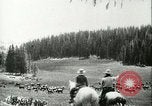 Immagine di Afta epizootica United States USA, 1925, secondo 16 filmato di repertorio 65675022112