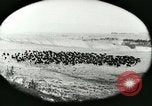 Immagine di Afta epizootica United States USA, 1925, secondo 19 filmato di repertorio 65675022112