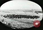 Immagine di Afta epizootica United States USA, 1925, secondo 20 filmato di repertorio 65675022112