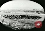 Immagine di Afta epizootica United States USA, 1925, secondo 22 filmato di repertorio 65675022112