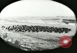 Immagine di Afta epizootica United States USA, 1925, secondo 23 filmato di repertorio 65675022112