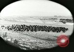 Immagine di Afta epizootica United States USA, 1925, secondo 24 filmato di repertorio 65675022112