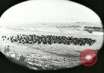 Immagine di Afta epizootica United States USA, 1925, secondo 25 filmato di repertorio 65675022112